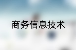 中国石油大学（北京）留学专业：商务信息技术