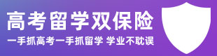 高考留学双保险计划,高考留学两不误